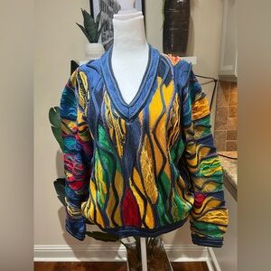 COOGI Multicolor V-Neck Sweater
